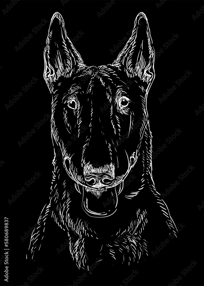 Obraz premium Engraving illustration of a Bull Terrier dog on a black background