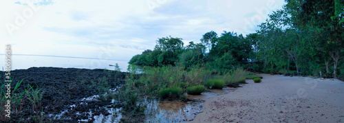 Praias desertas do Pará.
Deserted beaches in Pará. photo