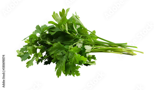 Big fresh parsley bunch isolated on transparent background. Many leaf celery sprigs. Aromatic dishes ingredient. Element for culinary blog advertising layout, greenery packaging design, dry seasoning