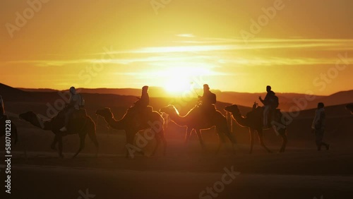 Camel caravan in the desert in Morocco