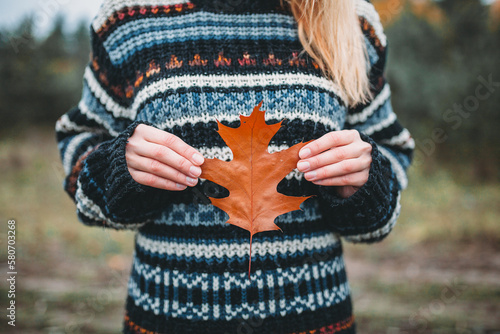 A girl in a warm sweater is holding an oak autumn orange leaf. Close-up photo of leaves.
