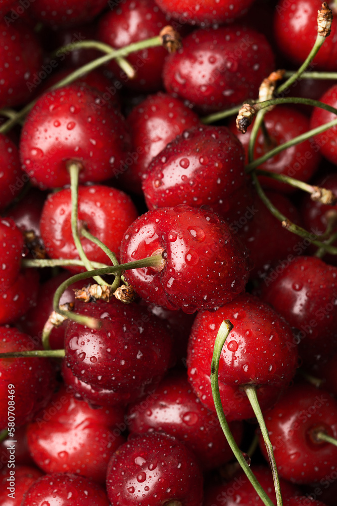 Sweet ripe cherries with water drops. Close up view. Selective focus Sweet ripe cherries with water drops. Close up view. Selective focus