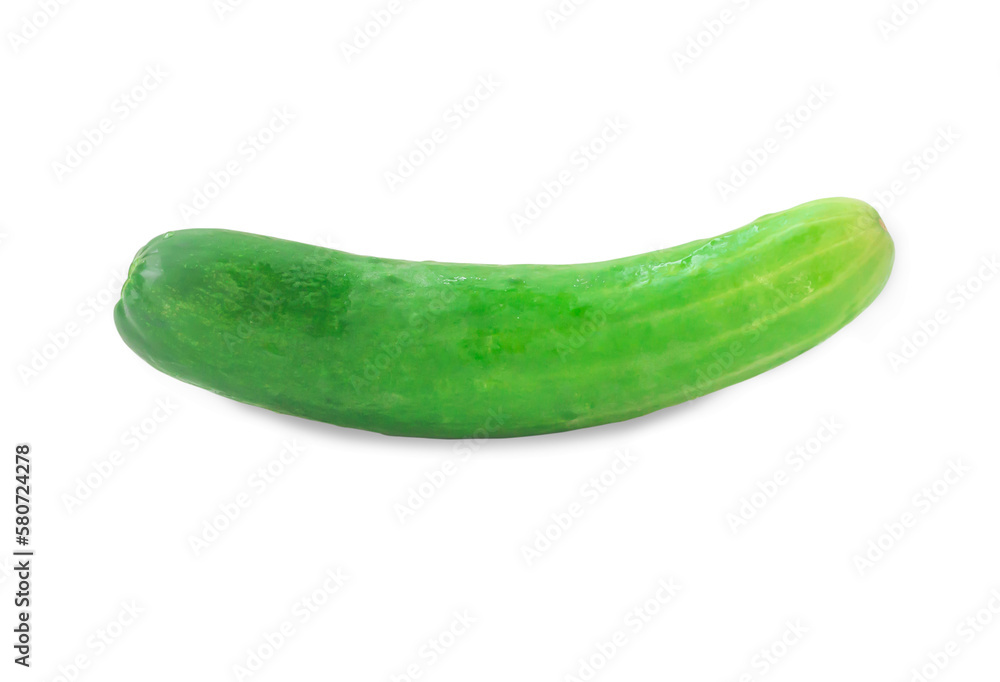 Single fresh green cucumber vegetable isolated on white background with clipping path and shadow in png file format