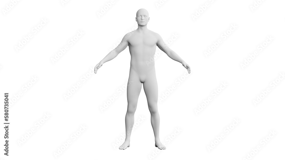 Beautiful young man posing, isolated on white background. 3d illustration (rendering). Artificial intelligence, android, mannequin Beautiful young man posing, isolated on white background. 3d illustration (rendering). Artificial intelligence, android, mannequin