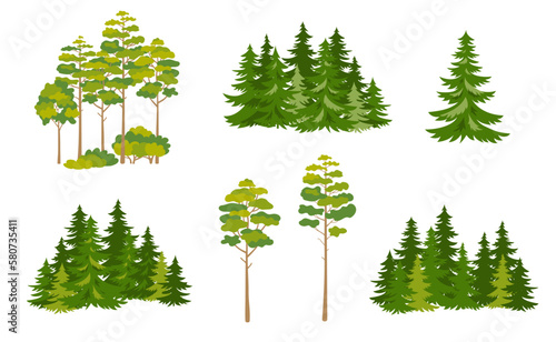 Composition of spruce forest with big green spruce trees