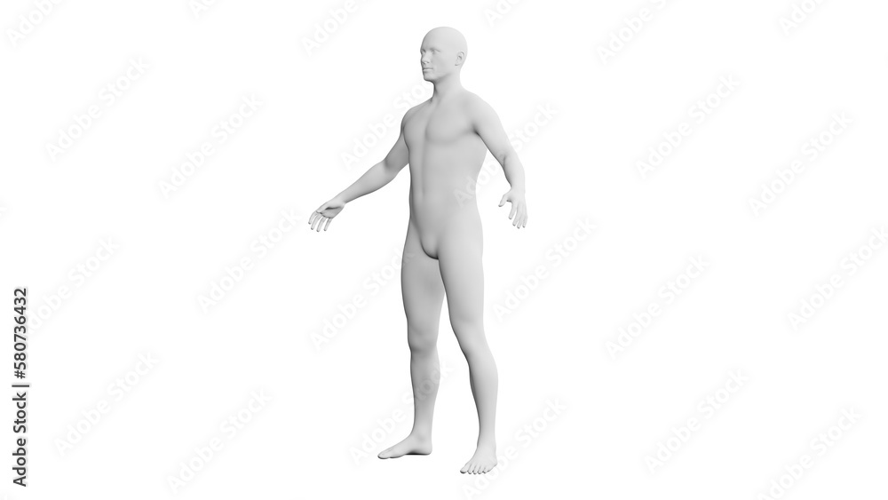 Beautiful young man posing, isolated on white background. 3d illustration (rendering). Artificial intelligence, android, mannequin Beautiful young man posing, isolated on white background. 3d illustration (rendering). Artificial intelligence, android, mannequin
