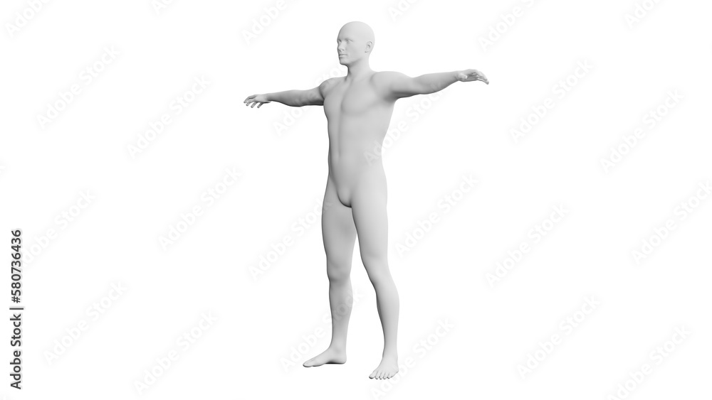 Beautiful young man posing, isolated on white background. 3d illustration (rendering). Artificial intelligence, android, mannequin Beautiful young man posing, isolated on white background. 3d illustration (rendering). Artificial intelligence, android, mannequin