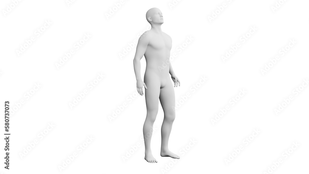 Beautiful young man posing, isolated on white background. 3d illustration (rendering). Artificial intelligence, android, mannequin Beautiful young man posing, isolated on white background. 3d illustration (rendering). Artificial intelligence, android, mannequin