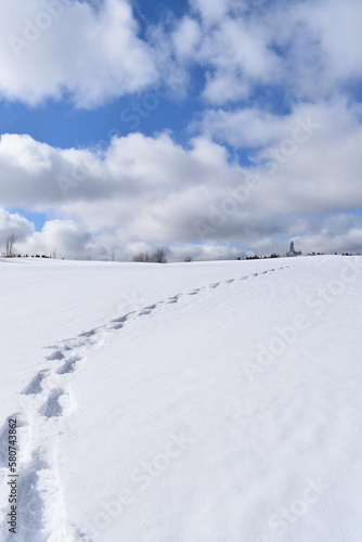 Snowshoe tracks in a field, Sainte-Apolline, Québec, Canada © Claude Laprise