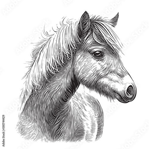 Horse pony portrait hand drawn sketch Vector illustration, animals