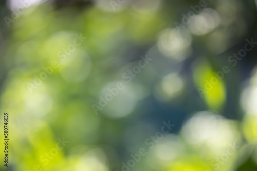 Abstract nature with bokeh green background from the leaves suitable for the background
