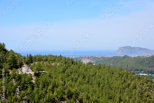 A view of the sea from the top of a mountain with spruce forest 