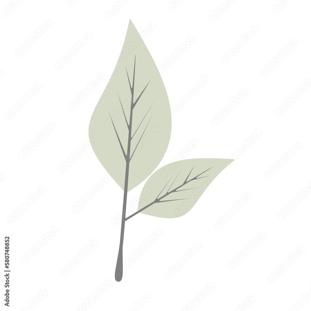 Tropical Leaf Element Tropical Leaf Element