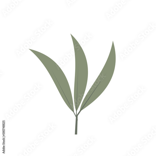 Tropical Leaf Element
