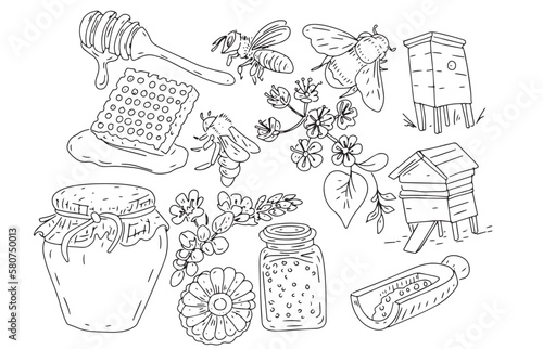 Honey bee honeycomb jar beehive graphic illustration hand drawn set large separately on white background sketch doodle