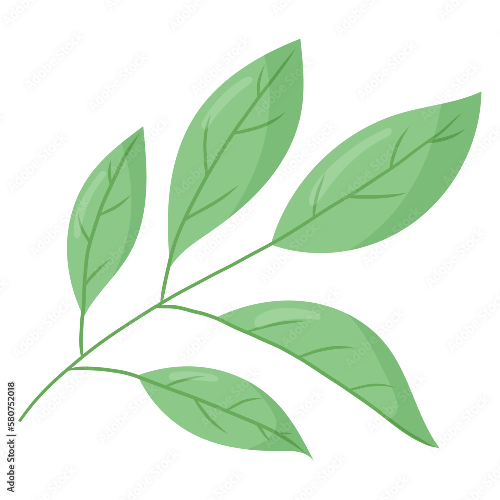 Obraz premium Twig with green leaves. Vector isolated cartoon illustration.