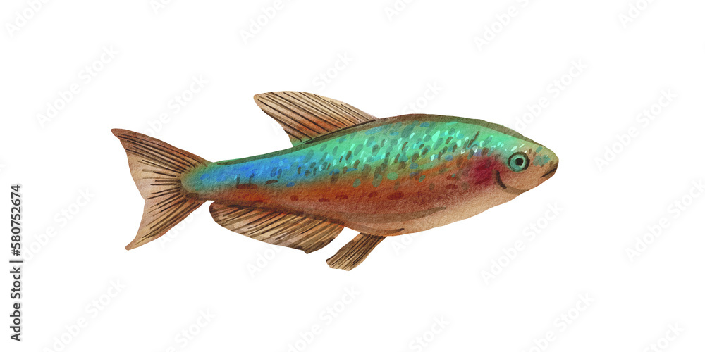 A small tropical fish on a white background. Watercolor illustration of an African neon fish. Drawing from the Island collection. An exotic aquatic animal is suitable for the design of postcards. A small tropical fish on a white background. Watercolor illustration of an African neon fish. Drawing from the Island collection. An exotic aquatic animal is suitable for the design of postcards.