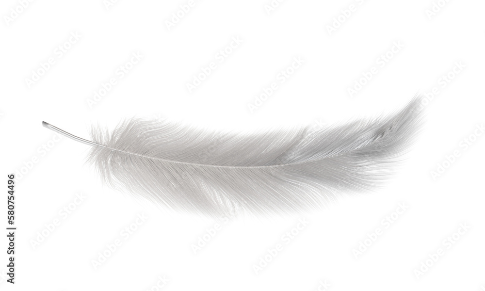 Obraz premium 背景透過したグレーの鳥の羽根