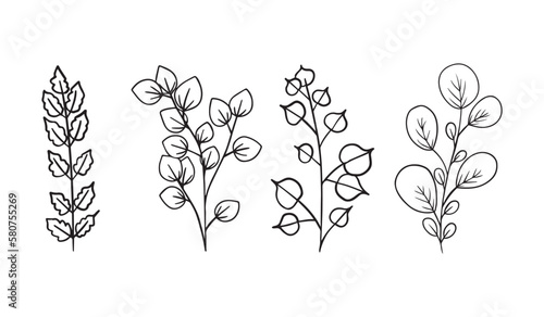 Botanical elements - branches with leaves  black outline illustration on white