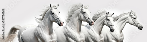 Beautiful white horses run across the sand, white background. Generative AI
