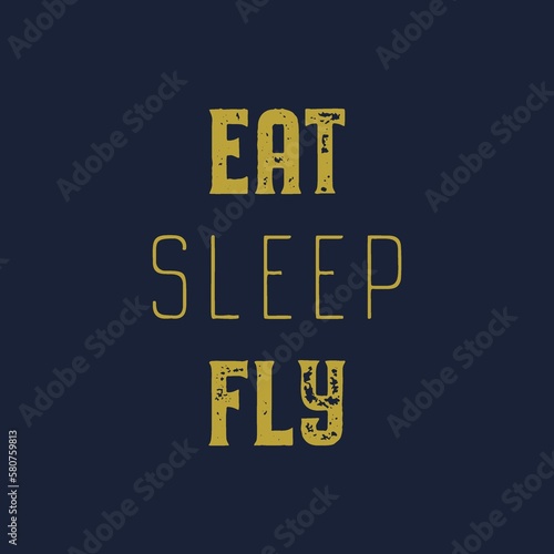 EAT SLEEP FLY. Colorful design for different uses. Printable art.