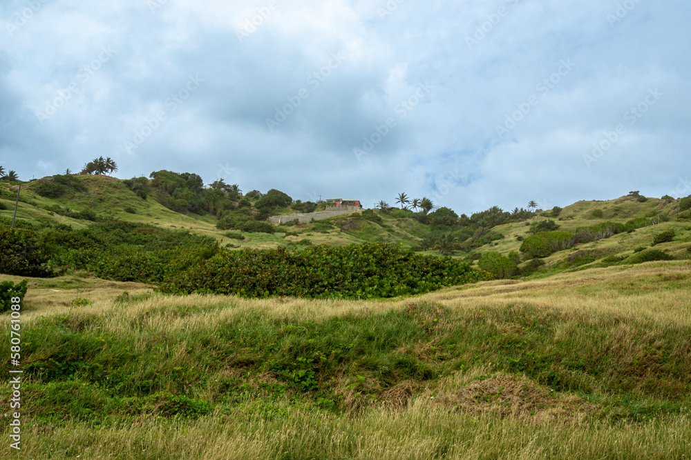 Naklejka premium Cattlewash beach, east coast Barbados