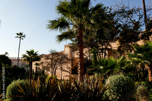 Rabat  Andalusian gardens in the Kasbah of the Oudaias. Morocco