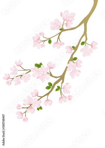Cherry blossom branch vector for design © Krongkan