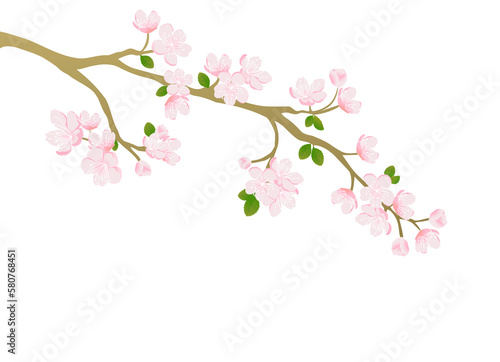 Pink cherry blossom vector design for card and background © Krongkan