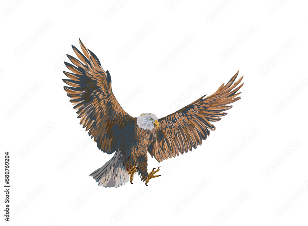 Obraz premium flying eagle illustration vector