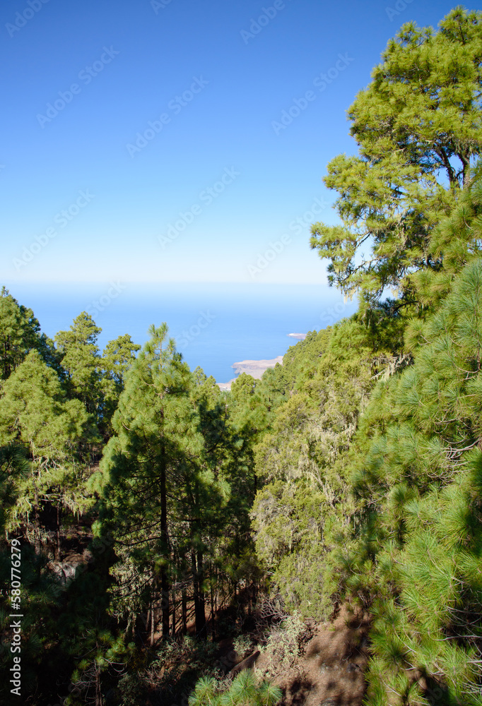 Scenic view, Gran Canaria, Spain