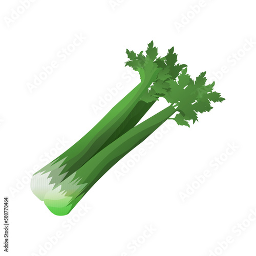 fresh celery vegetable icon over white background. colorful design. vector illustration