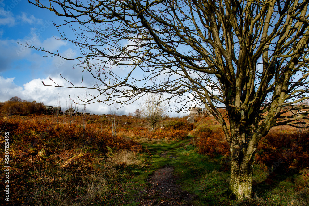 Fototapeta premium Magic natural view on countryside