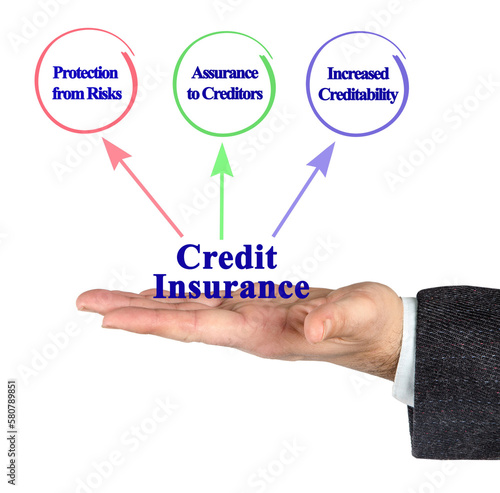 Three Functions of Credit Insurance