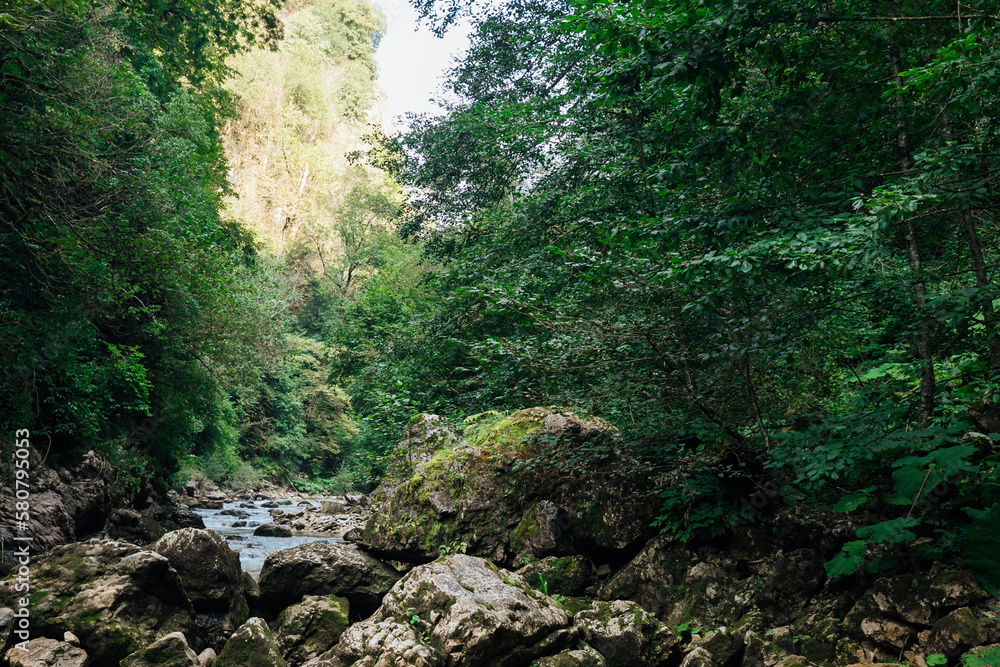 mountain stream among the rocks in the forest nature hike journey mountain stream among the rocks in the forest nature hike journey