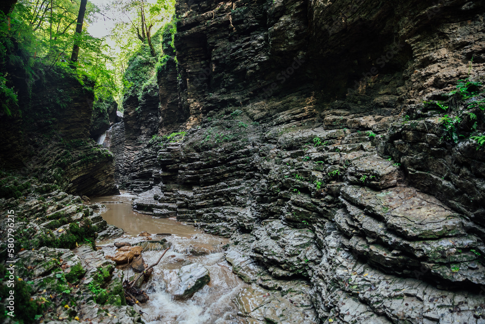 mountain stream among the rocks in the forest in nature journey hiking mountain stream among the rocks in the forest in nature journey hiking