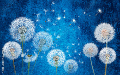 Fototapeta Naklejka Na Ścianę i Meble -  3D image of white flowers, dandelions on a blue background