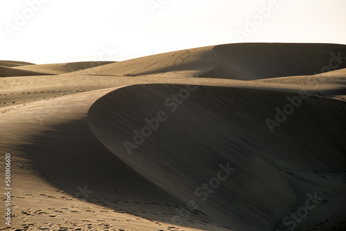 Sandy dunes in Maspalomas Park  Gran Canaria  Spain
