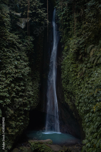 Leke Leke Waterfall in Bali, Indonesia (Moody Dark Green) - (Hand pushing leaves away)