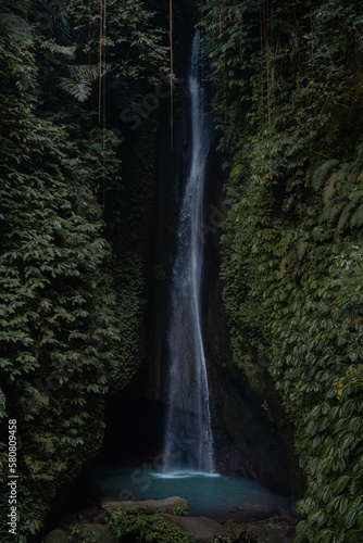 Leke Leke Waterfall in Bali  Indonesia  Moody Dark Green  -  Hand pushing leaves away 