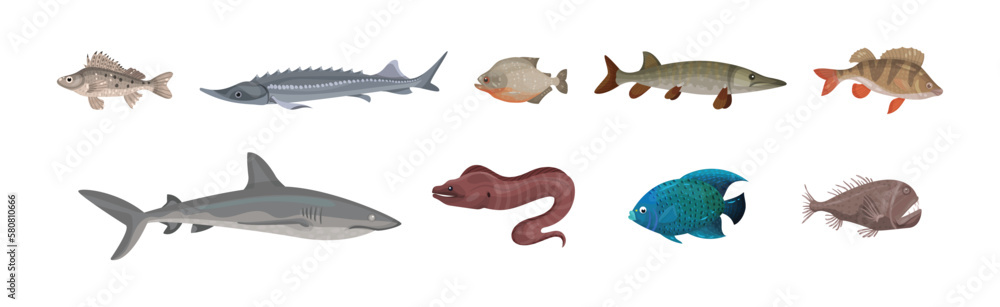 Fish from Deep Sea as Gill-bearing Aquatic Animals Vector Set