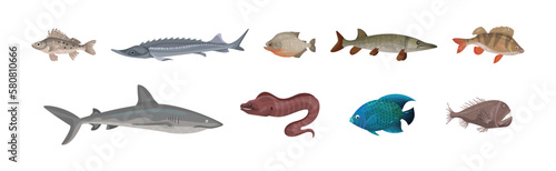 Fish from Deep Sea as Gill-bearing Aquatic Animals Vector Set