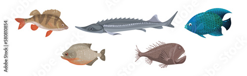 Fish from Deep Sea as Gill-bearing Aquatic Animals Vector Set