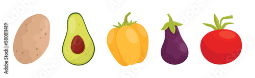 Raw Vegetables as Ripe Garden Crop Vector Set