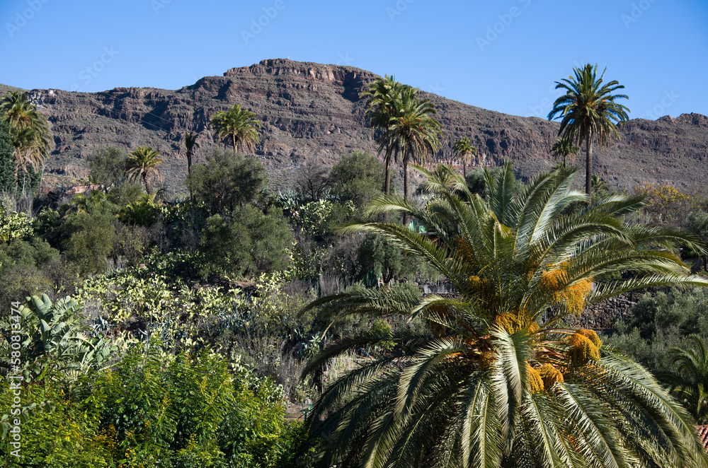  Santa Lusia village, Gran Canaria, Spain