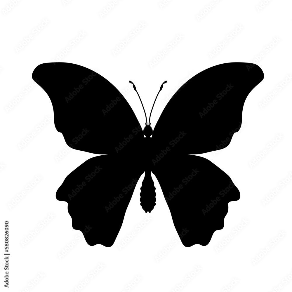 butterfly silhouette - vector illustration butterfly silhouette - vector illustration