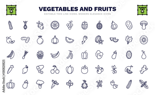 set of vegetables and fruits thin line icons. vegetables and fruits outline icons such as courgette, blueberry, durian, tangerine, peas, bell pepper, horseradish, pumpkin, basil vector.