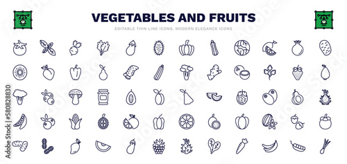 set of vegetables and fruits thin line icons. vegetables and fruits outline icons such as tomato, radishes, rambutan, pomegranate, coconut, rose, grapefruit, mango, spring onion vector.