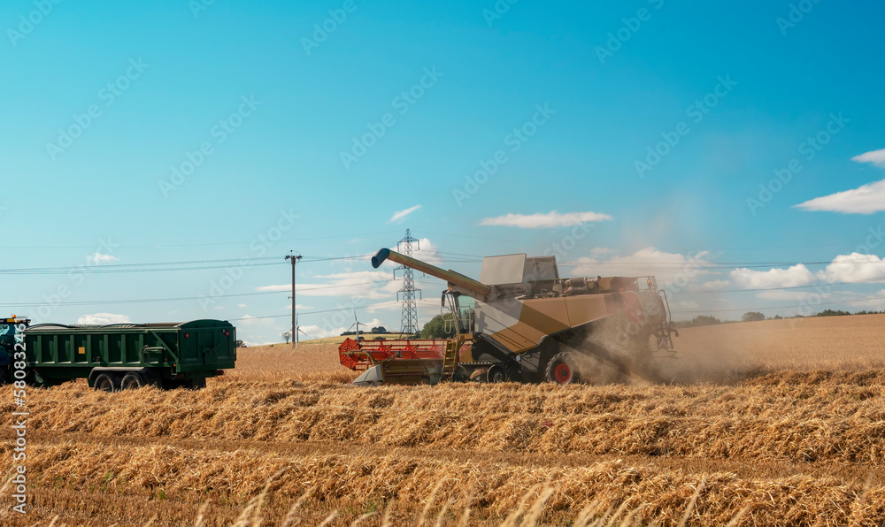 Fototapeta premium Wheat harvesting in the summer season by a modern combine harvester with a dramatic sky and rainbow in the background. Farmers fighting food shortage
