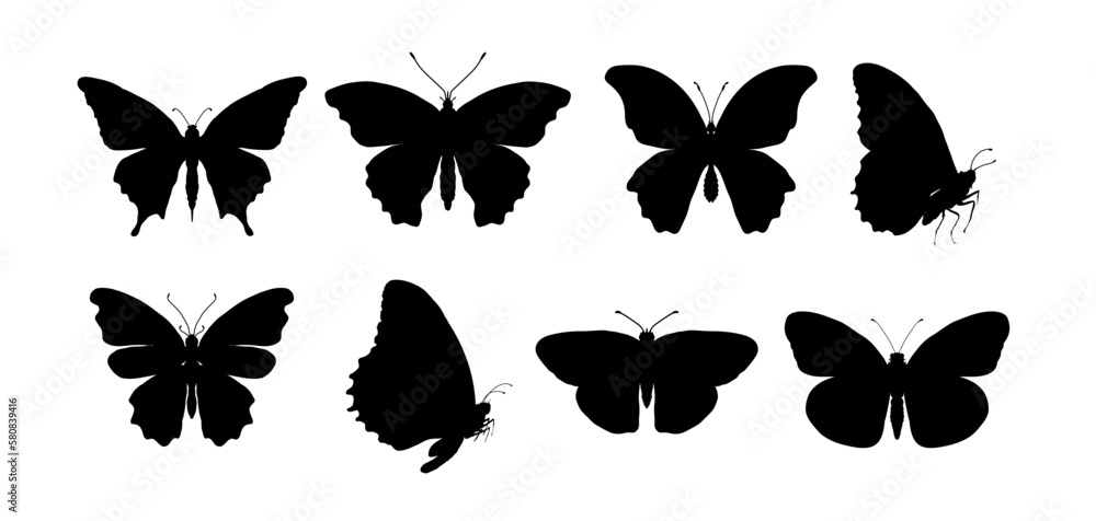Set of butterfly silhouettes Set of butterfly silhouettes
